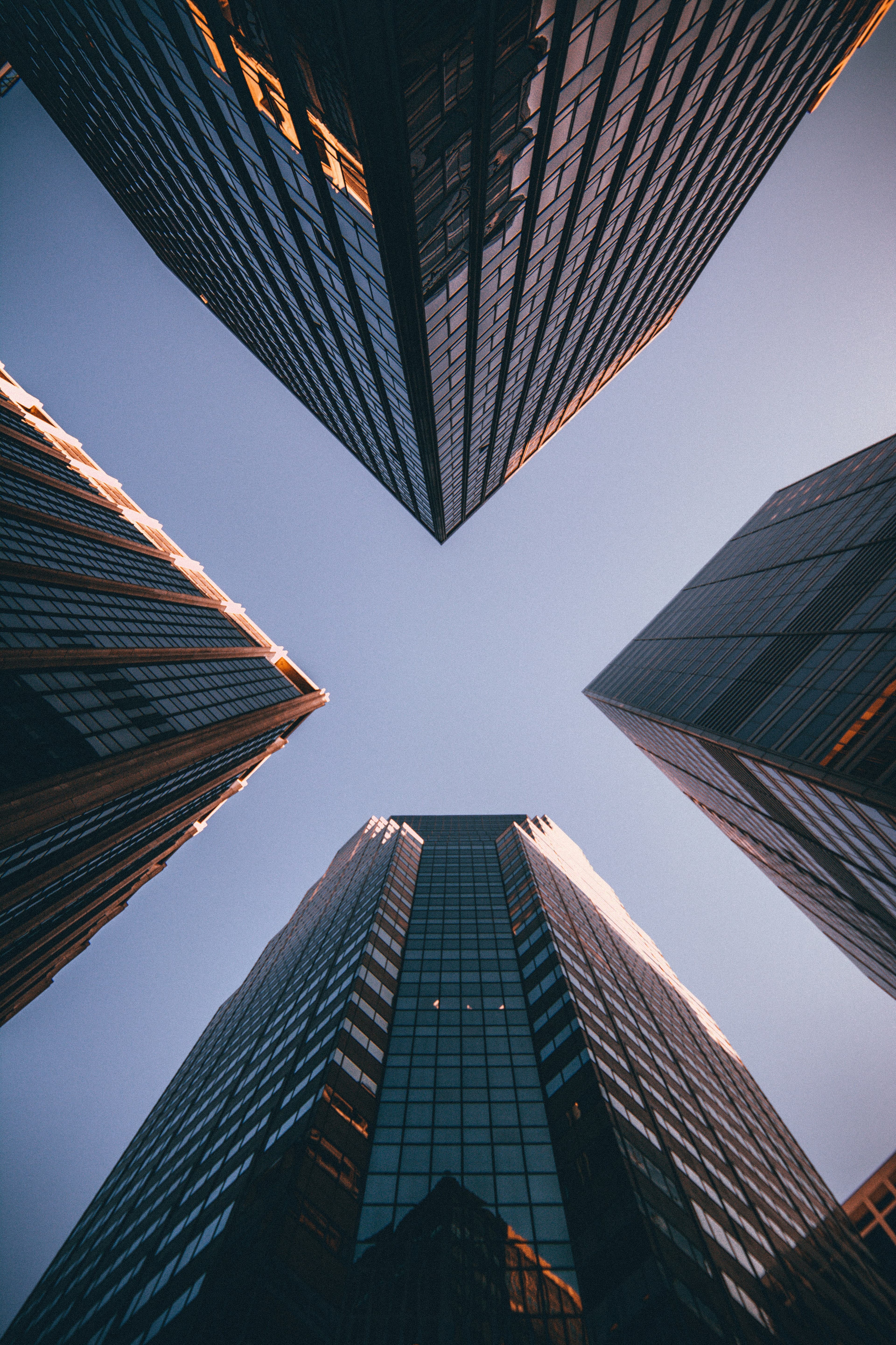 Your Company